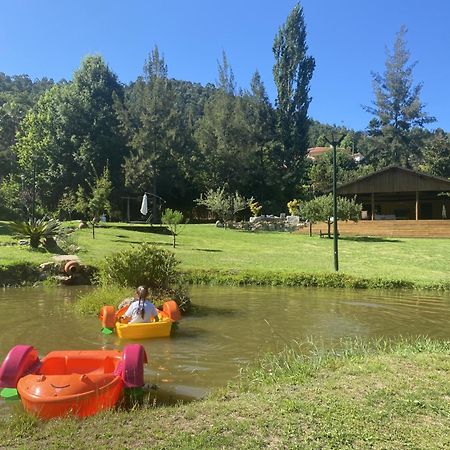Willa Quinta Da Vinha Do Souto Arouca Zewnętrze zdjęcie