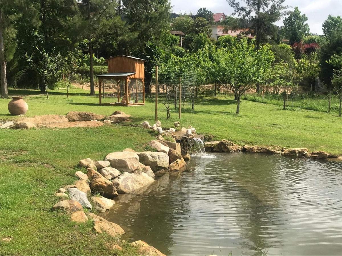Willa Quinta Da Vinha Do Souto Arouca Zewnętrze zdjęcie
