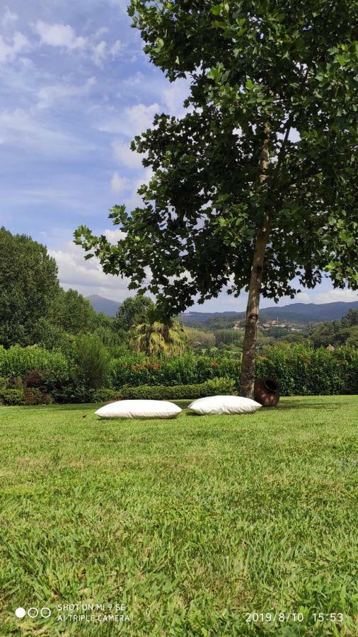 Willa Quinta Da Vinha Do Souto Arouca Zewnętrze zdjęcie