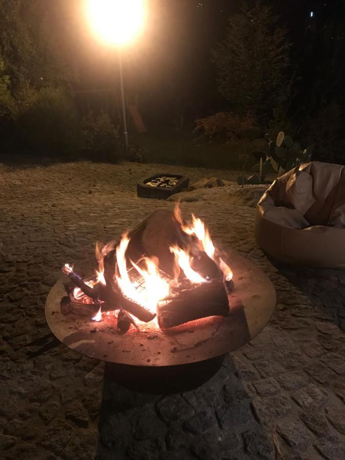 Willa Quinta Da Vinha Do Souto Arouca Zewnętrze zdjęcie